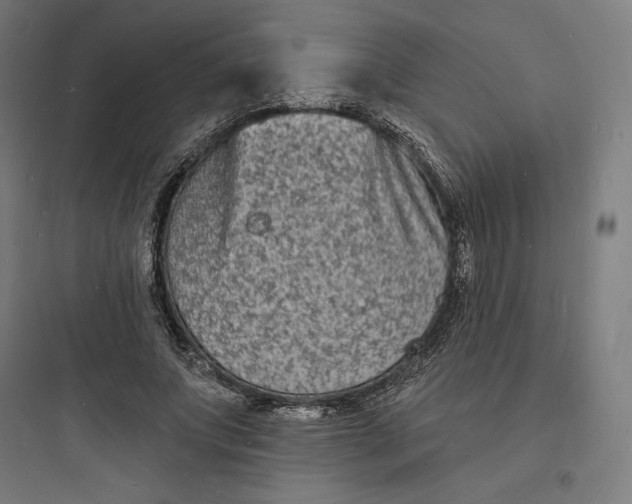 X0000093720687200711060938