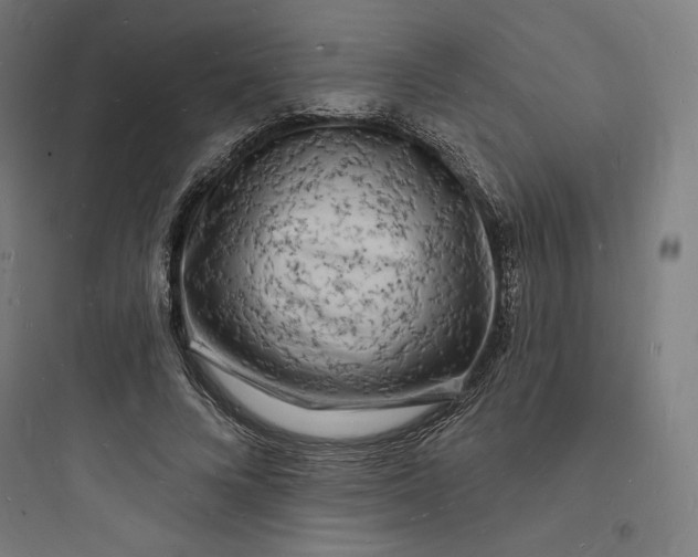 X0000093720688200711060938