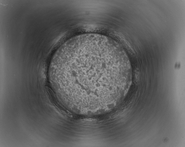 X0000093720691200711060938