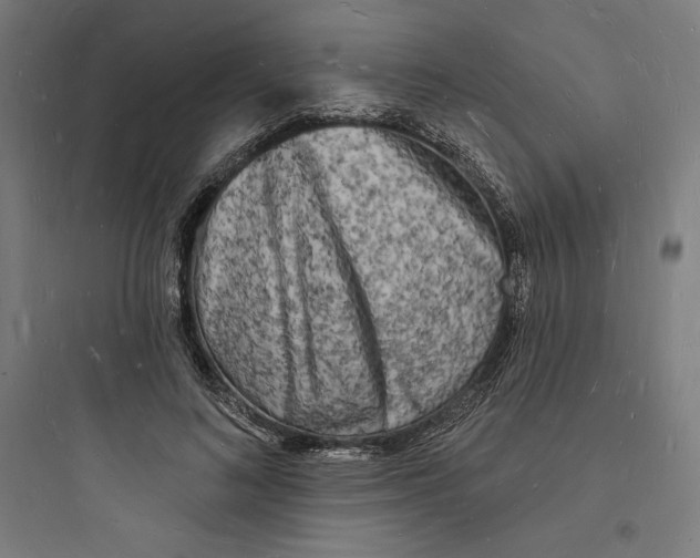 X0000093720692200711060938