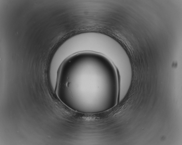 X0000093720693200711060938