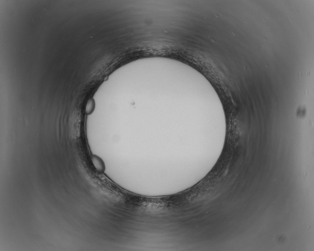 X0000093720694200711060938