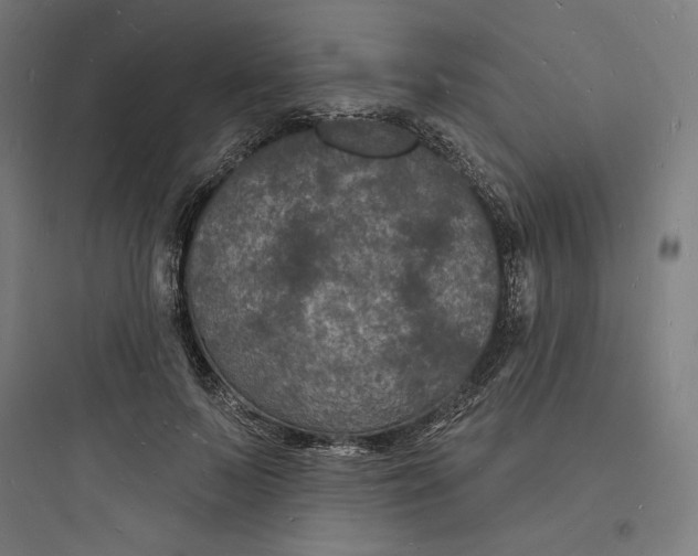 X0000093720695200711060938