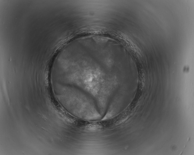 X0000093720696200711060938