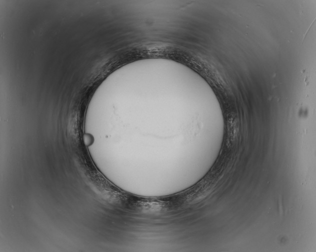 X0000093720698200711060938