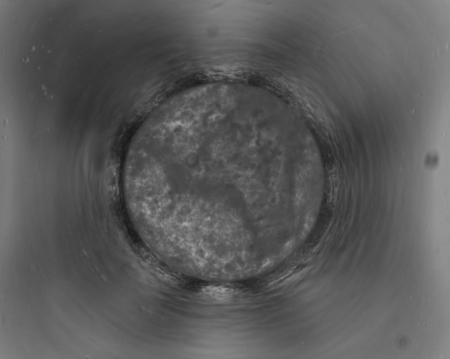 X0000093720699200711060938