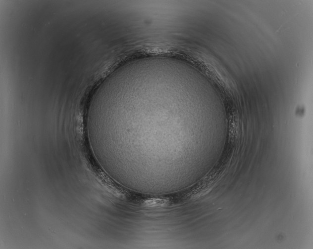 X0000093720700200711060938