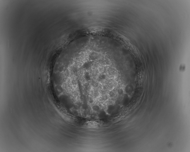 X0000093720703200711060938