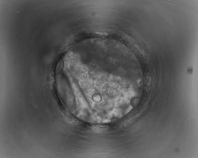 X0000093720707200711060937