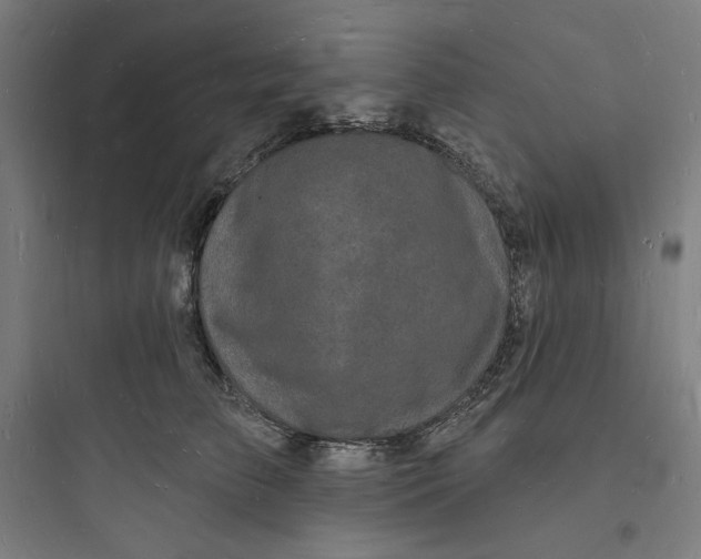 X0000093720709200711060937