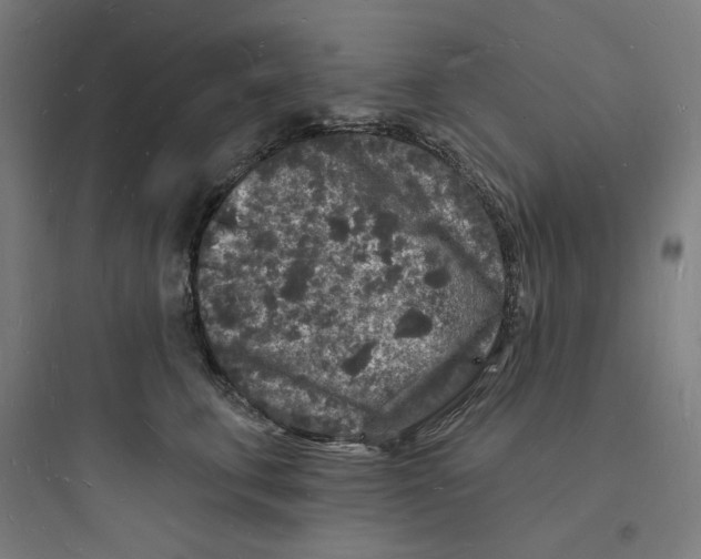 X0000093720711200711060937