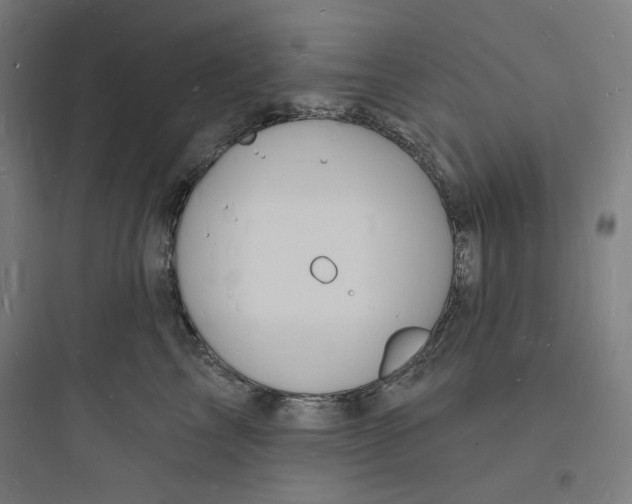 X0000093720713200711060937