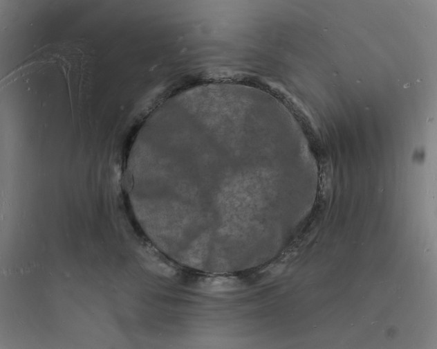 X0000093720716200711060937