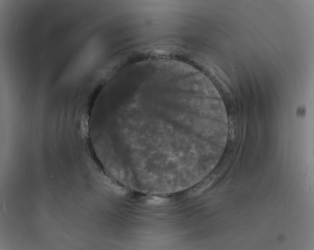 X0000093720718200711060937