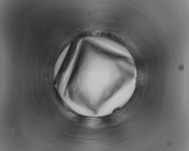 X0000093720719200711060937