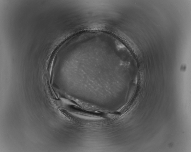 X0000093720721200711060937