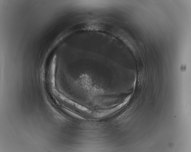 X0000093720722200711060937