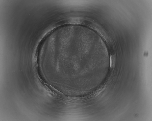 X0000093720723200711060937