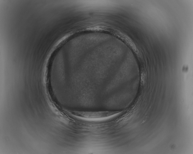 X0000093720724200711060937