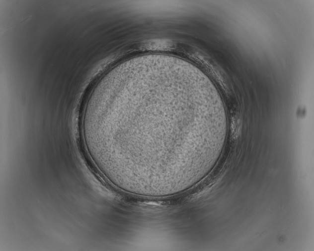 X0000093720725200711060937