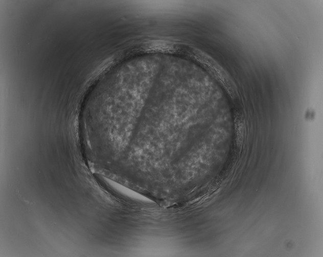 X0000093720729200711060937