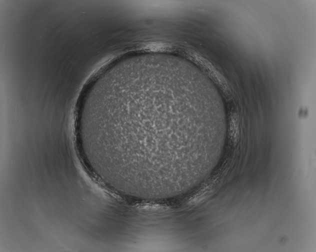 X0000093720730200711060937