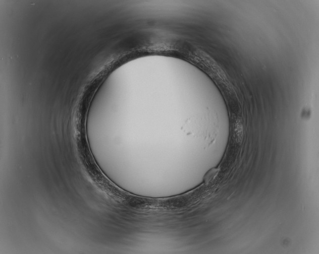 X0000093720732200711060937