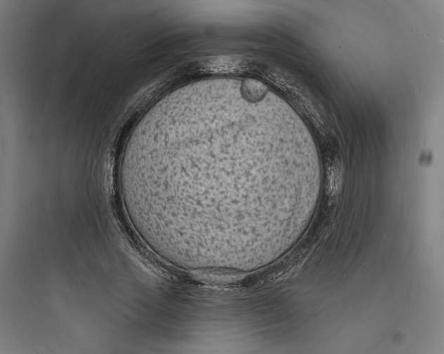 X0000093720733200711060937