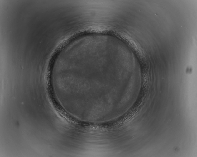 X0000093720736200711060937