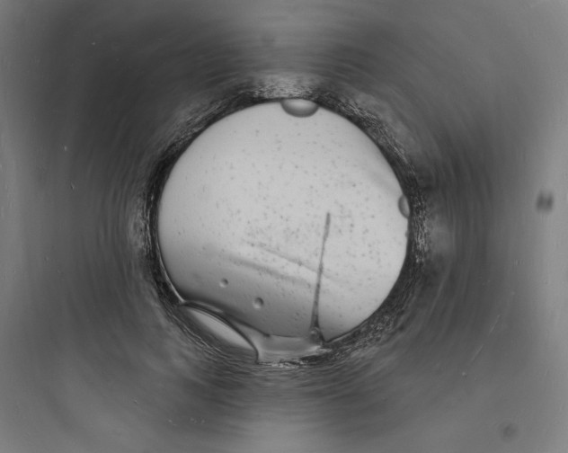 X0000093720743200711060937