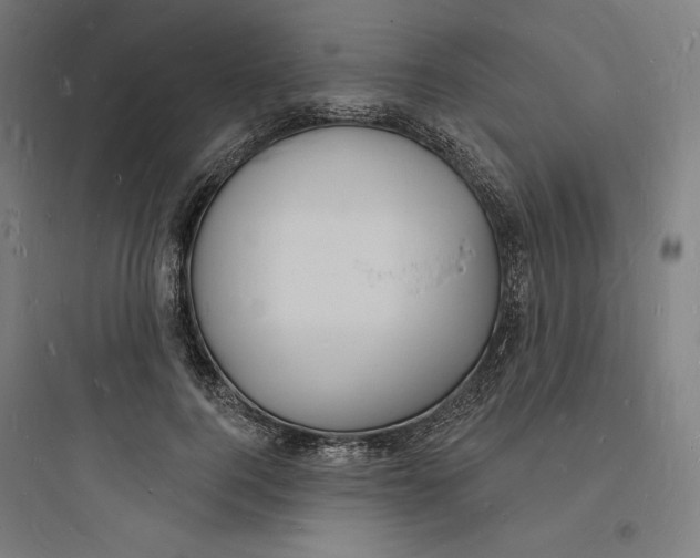 X0000093720744200711060937