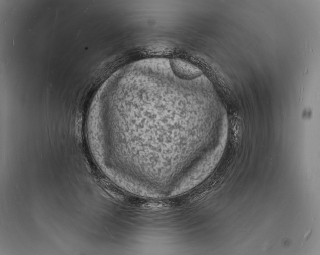 X0000093720745200711060937