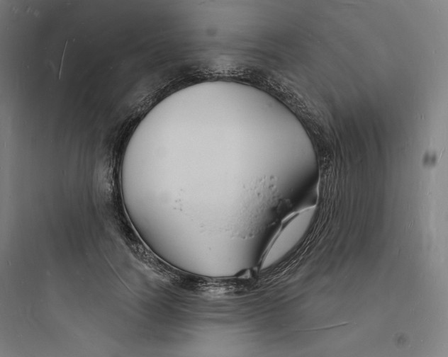 X0000093720746200711060937