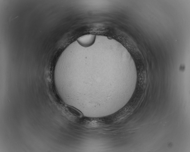 X0000093720755200711060937