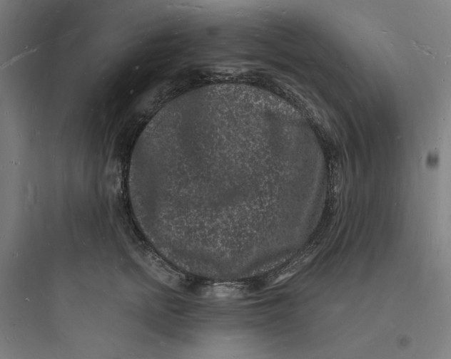 X0000093720758200711060937