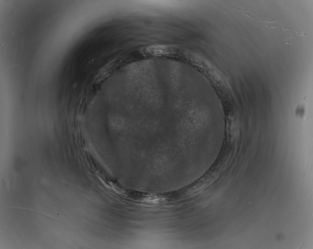 X0000093720760200711060937