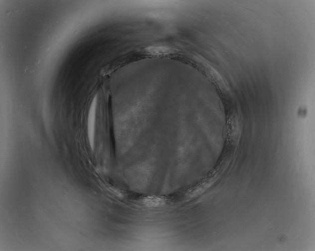 X0000093720762200711060937