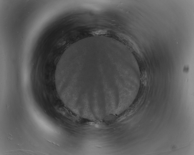 X0000093720763200711060937