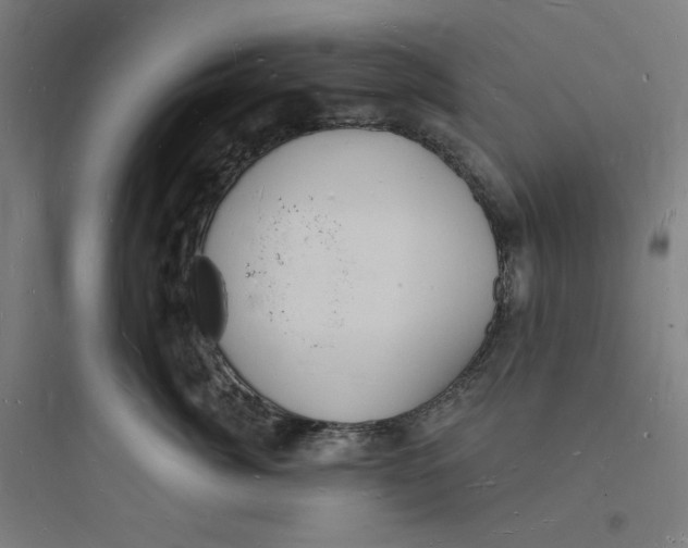 X0000093720764200711060937