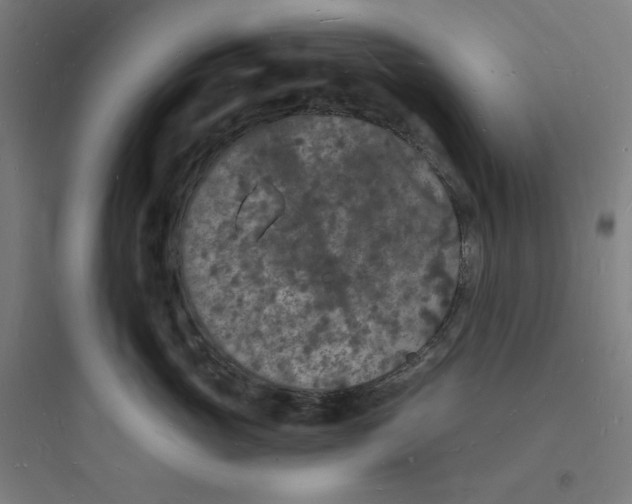 X0000093720765200711060937