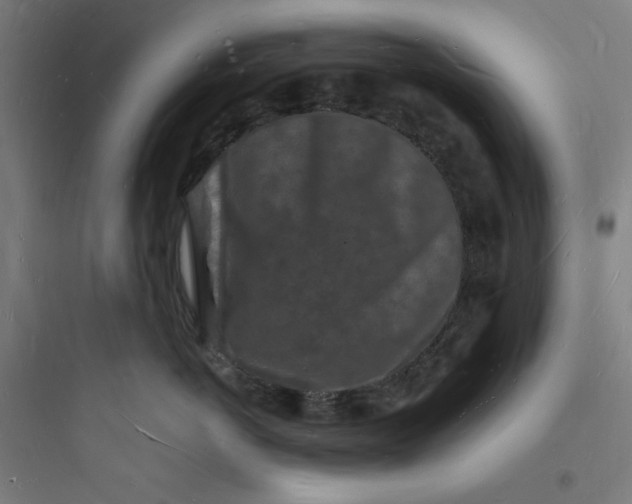 X0000093720766200711060937