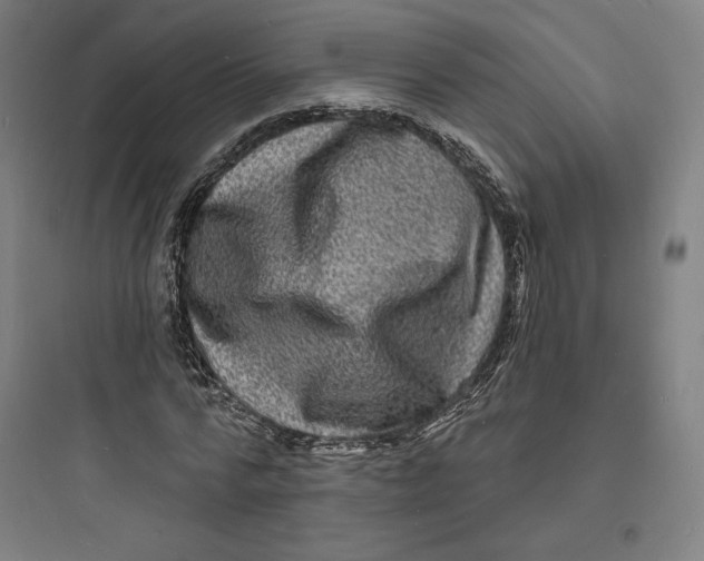 X0000093720776200711060936