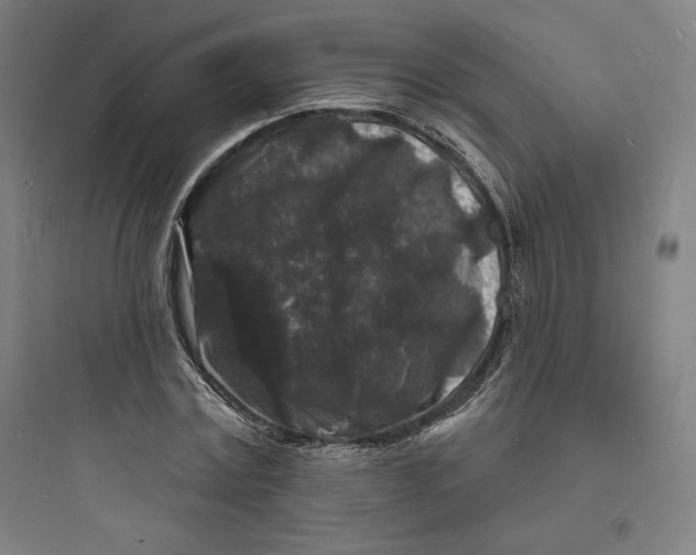 X0000093720779200711060936