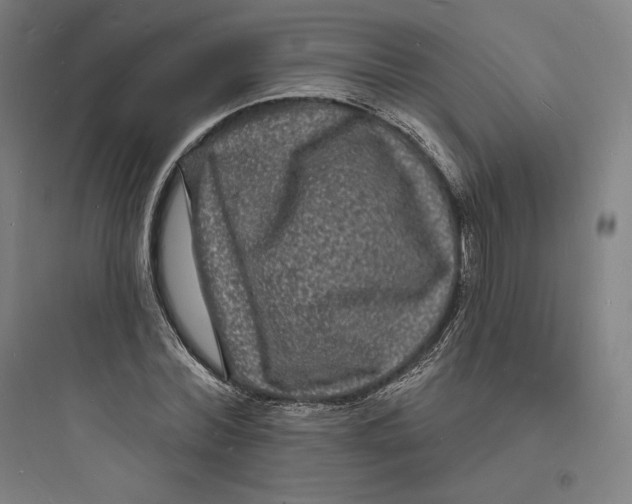 X0000093720780200711060936