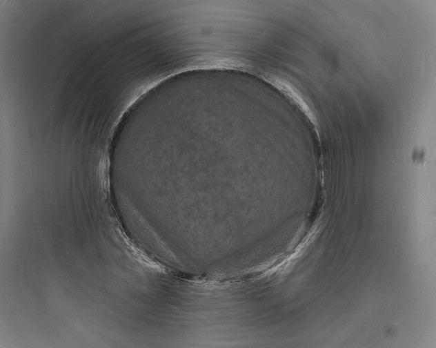 X0000093720781200711060936