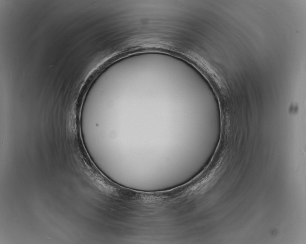 X0000093720782200711060936