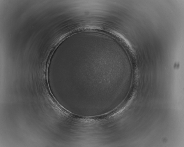 X0000093720785200711060936