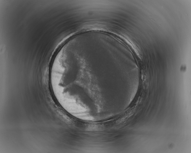 X0000093720790200711060936