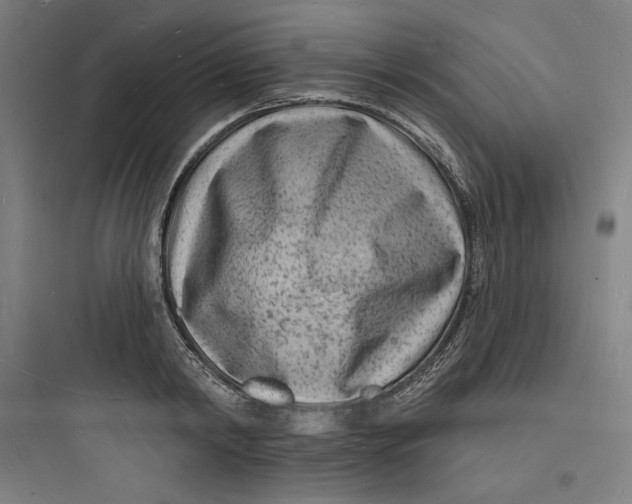 X0000093720798200711060936