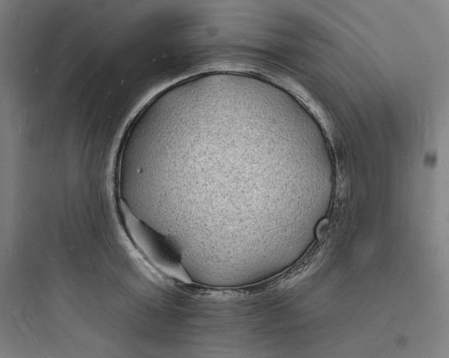 X0000093720803200711060936